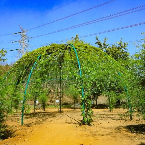 Nakshatra Garden